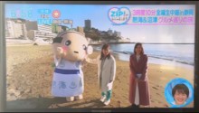 ｢あつお｣テレビ出演