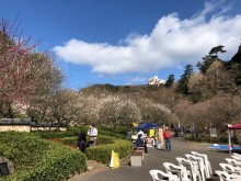 熱海梅園梅まつり　熱海温泉ホテル旅館協同組合「謝恩デー」