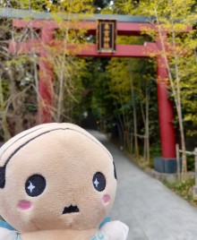 来宮神社