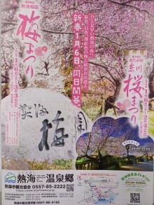 第80回熱海梅園梅まつり・第14回あたみ桜糸川桜まつり