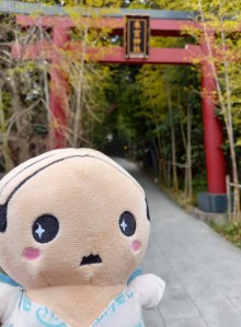 7/14(日)～16(火)来宮神社例大祭