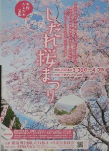 「第6回中野かじ川公園しだれ桜まつり」
