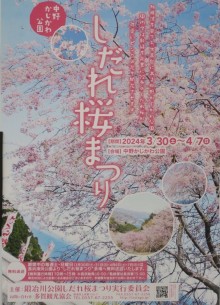 「第6回中野かじ川公園しだれ桜まつり」
