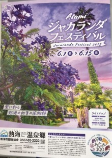 ATAMIジャカランダフェスティバル2025