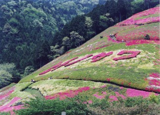 姫の沢公園