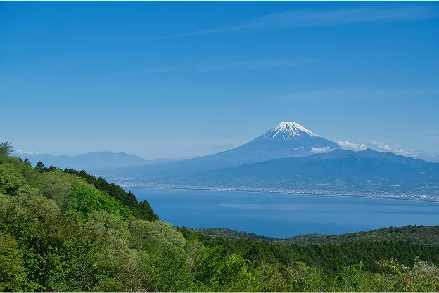青く澄み渡る空の下、雄大な富士山がそびえ立つ絶景を捉えた一枚。