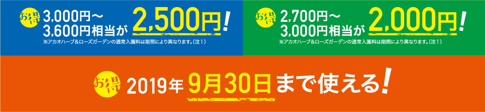 【お得】通常3,000円～3,600円相当が2,500円！【お得】通常2,700円～3,000円相当が2,000円！