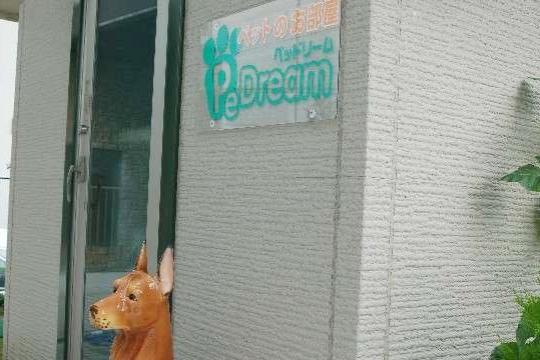 ペッドリームを設置。