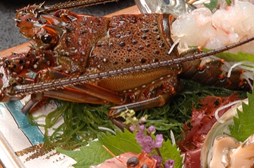 お食事