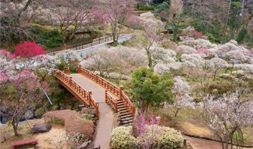 熱海梅園