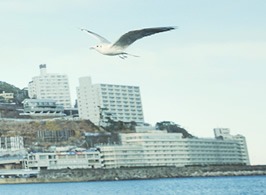 意外と熱海特集 熱海温泉お宿ナビ 意外と熱海特集 熱海温泉お宿ナビ